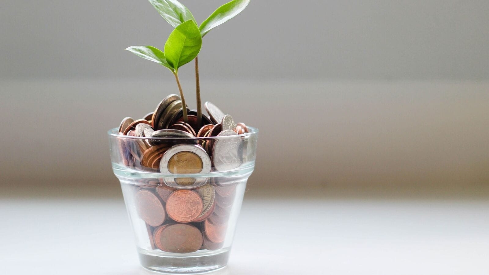 Investment of mutual funds in NSE firms touches a record high of 10 per cent: Report