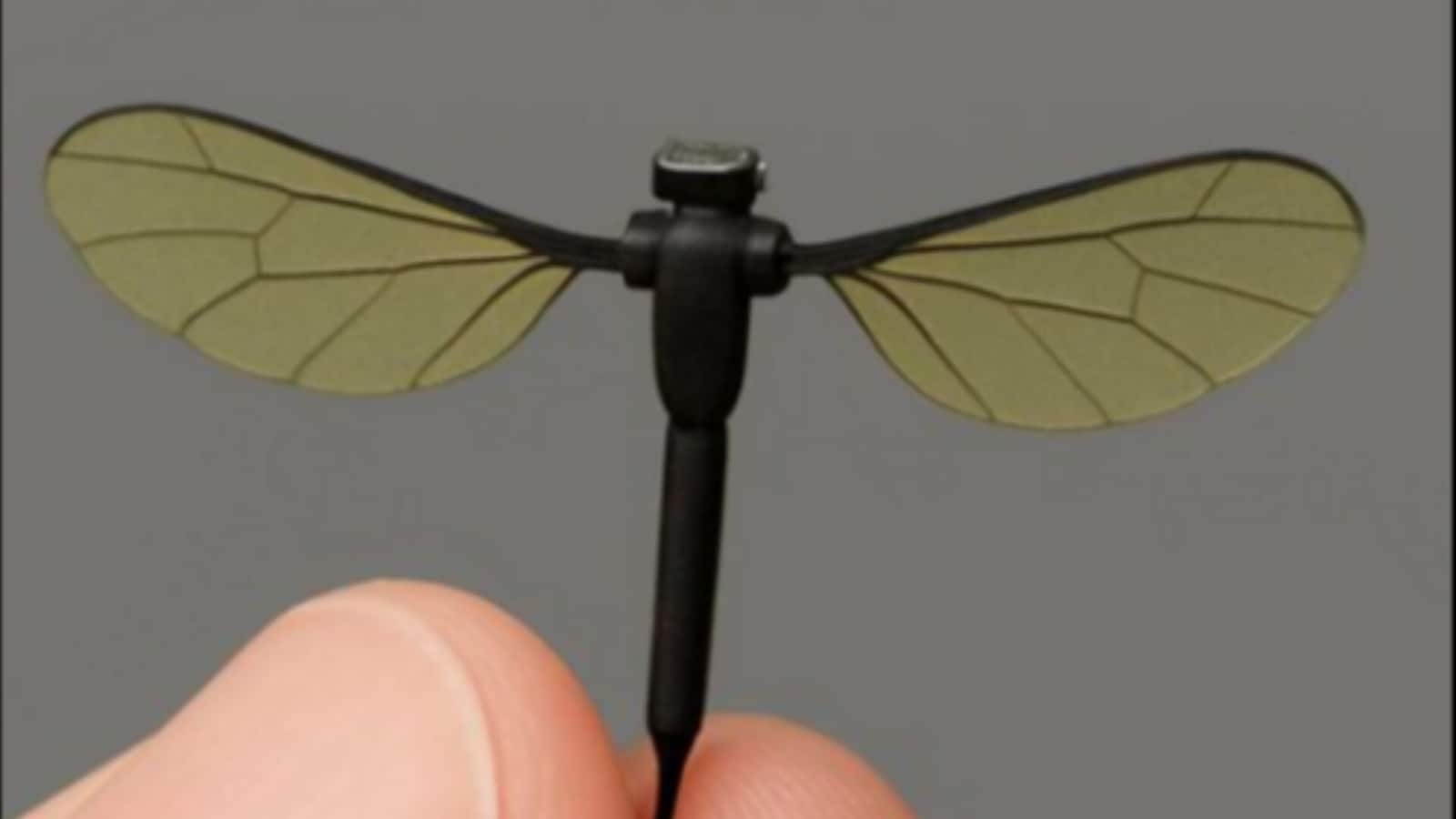 China's tiny mosquito-like drone may sneak into homes for 'special missions'