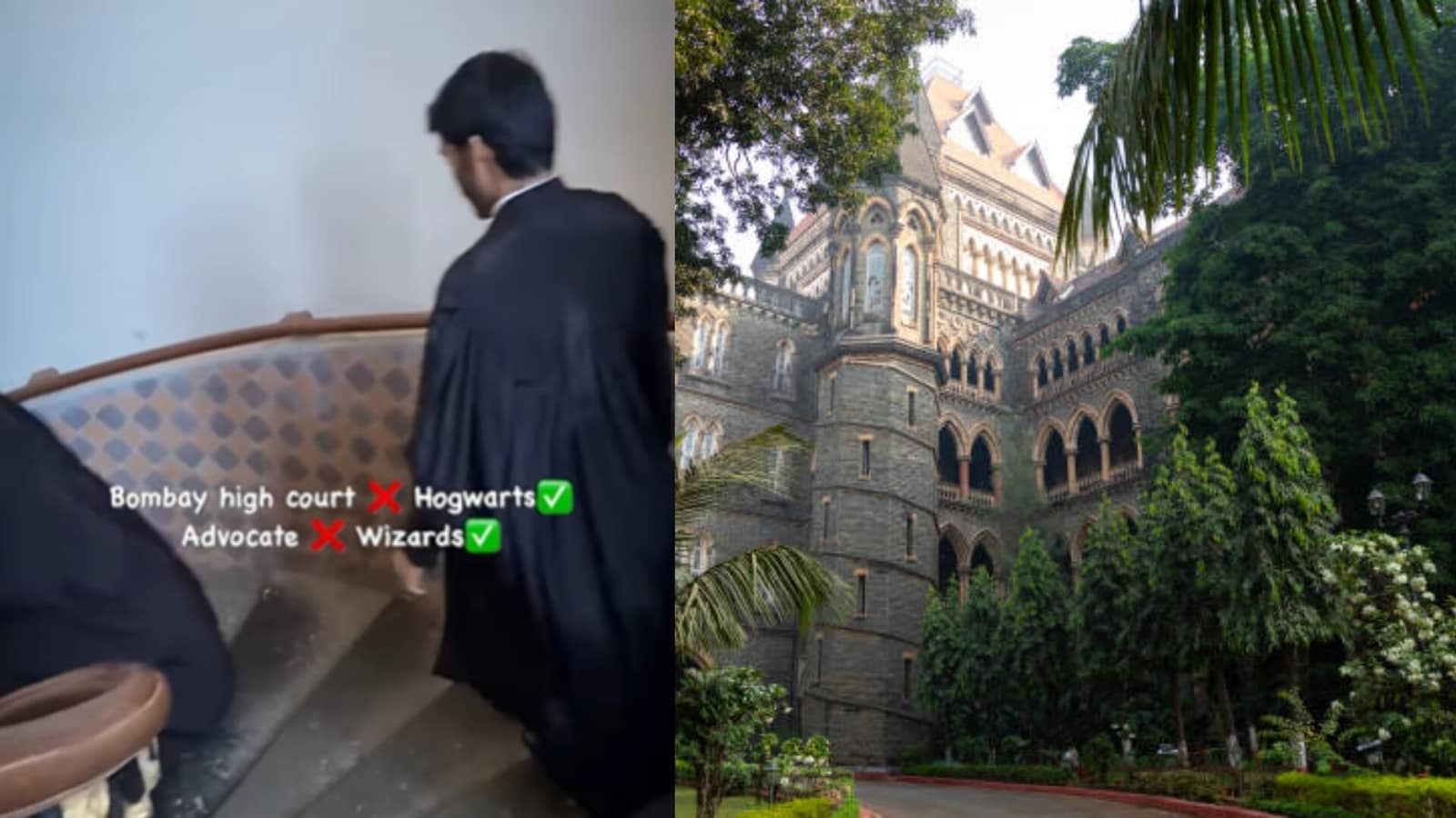Bombay HC or Hogwarts? Lawyers descend like wizards, Severus Snape vibes included