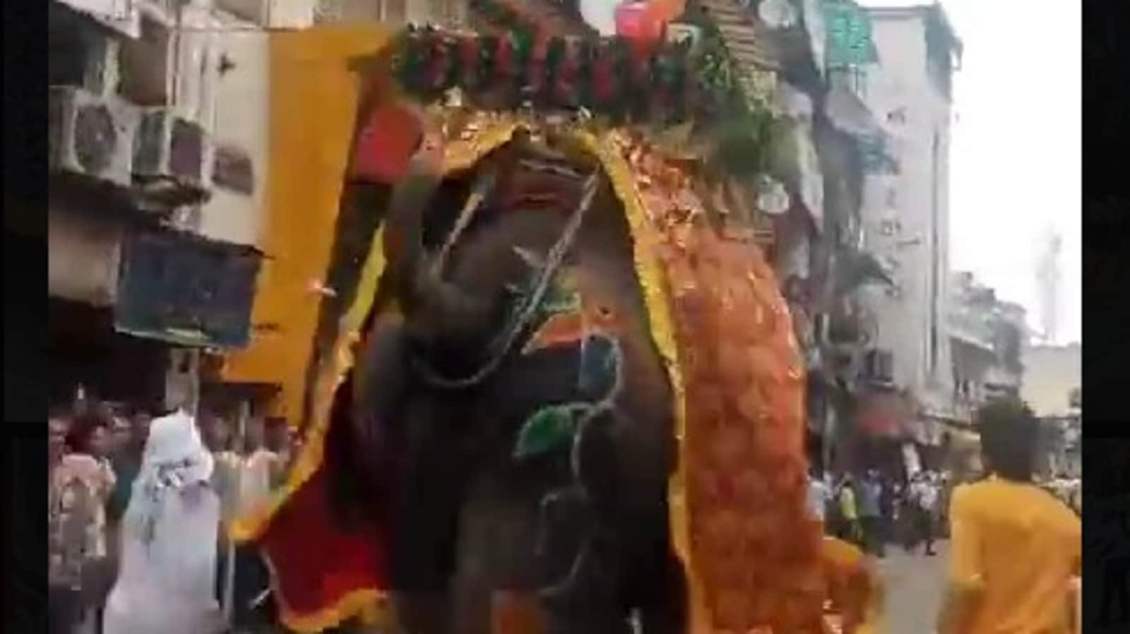 Rath Yatra 2025 devotees flee as 3 elephants run amok during Jagannath Yatra, terrifying video caught on camera