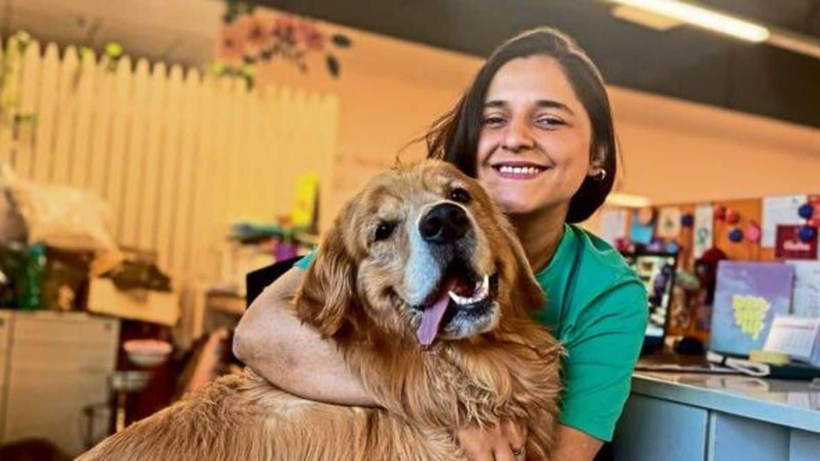 How pet-friendly offices are changing work culture