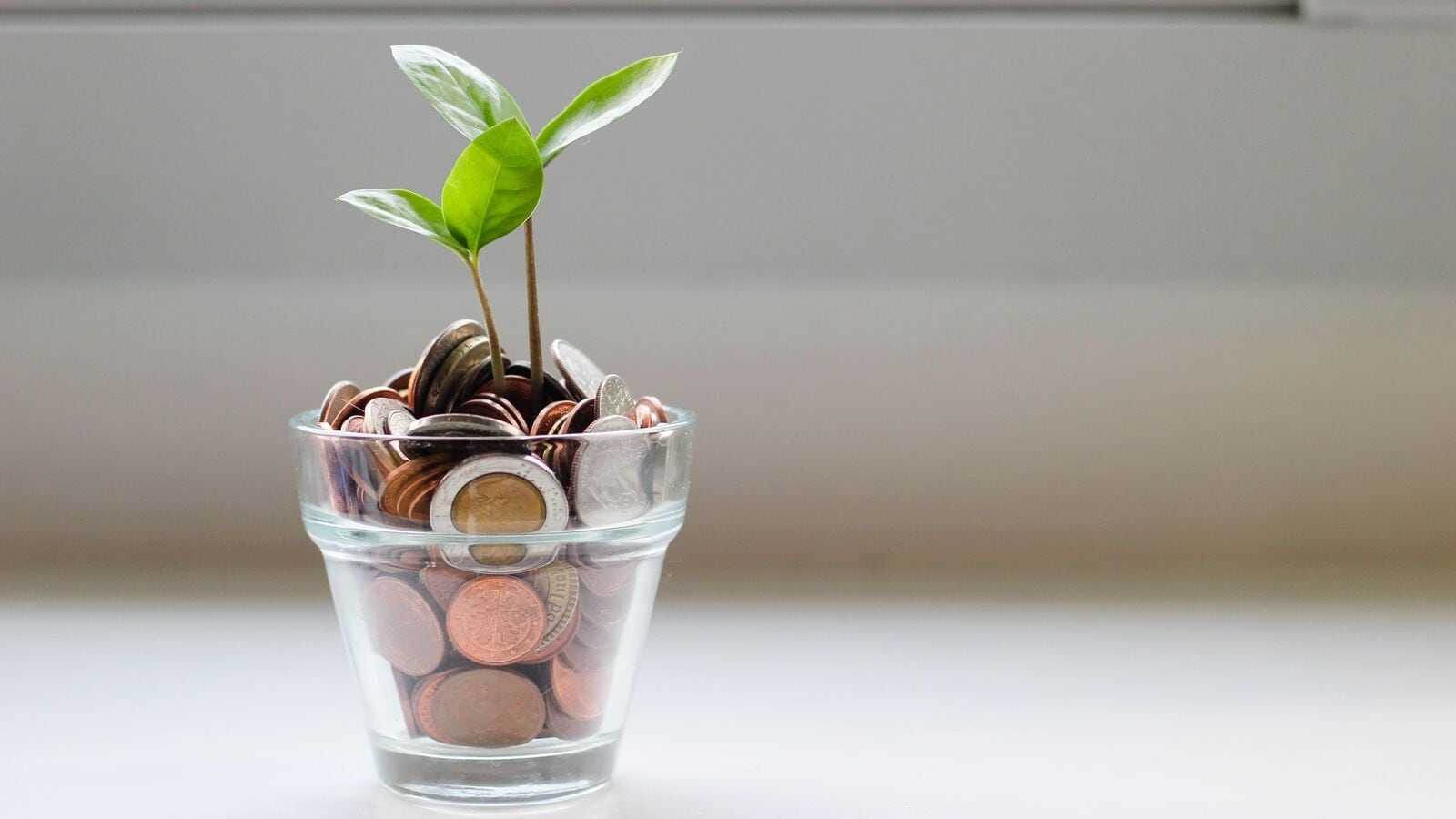 Small savings schemes: Govt announces interest rates for PPF, NSC for July-September quarter of FY26; check details