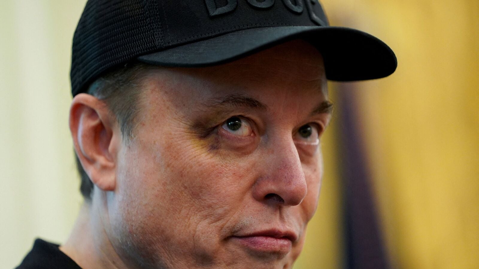 Elon Musk's new America Party sparks support and bitter backlash. Check the list of who's backing him and who's not