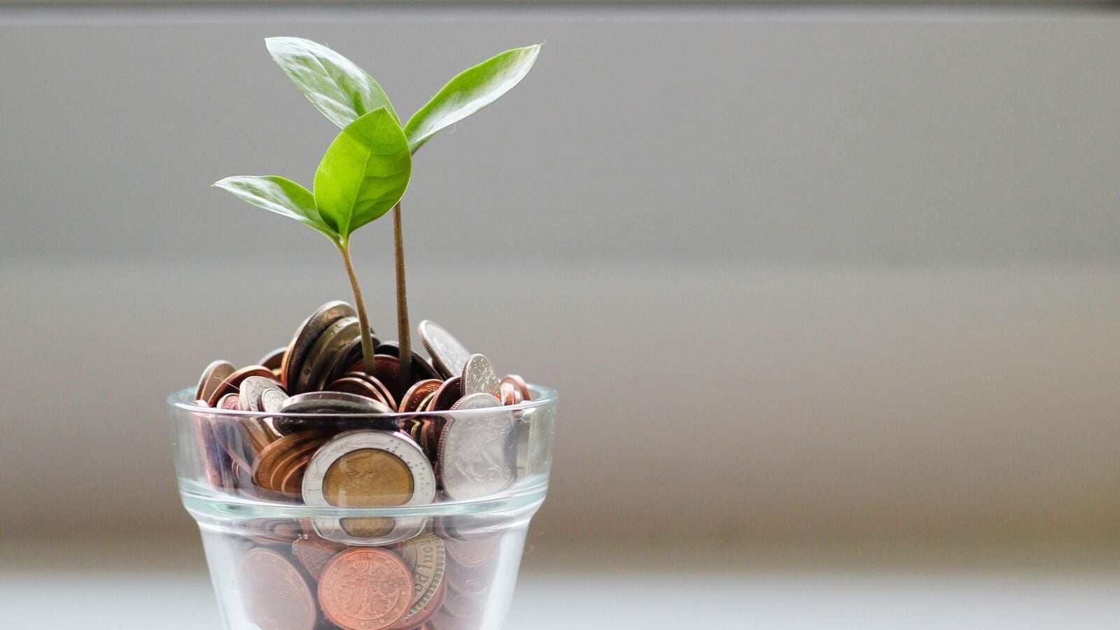 Digital personal loan vs traditional loan: Which one should you choose?