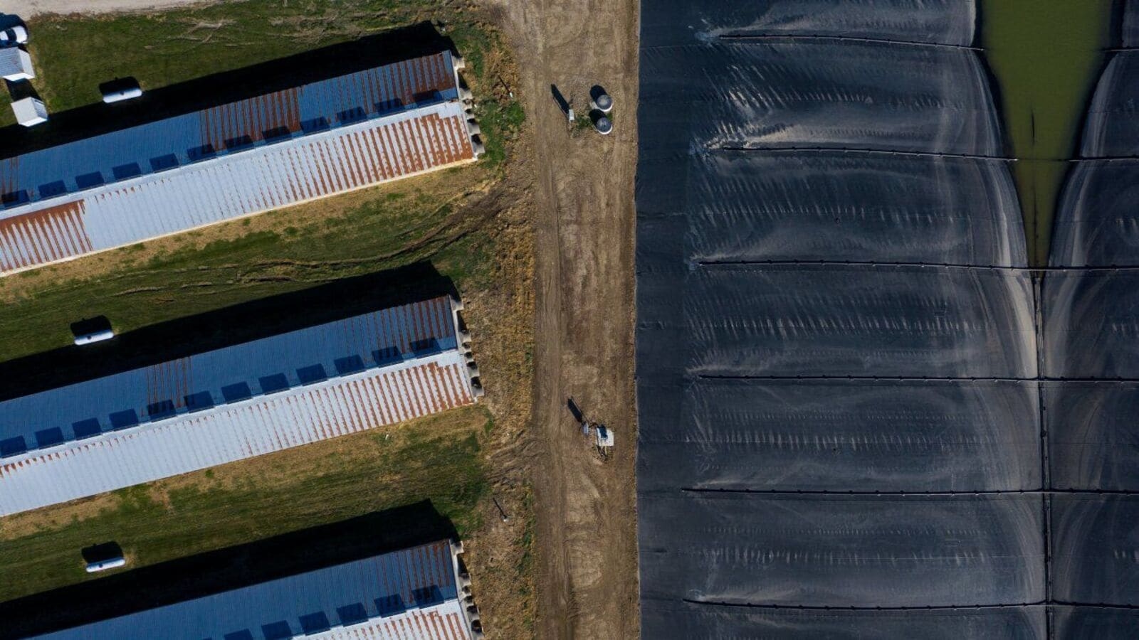 Trump administration seeks to ban China from buying US farms