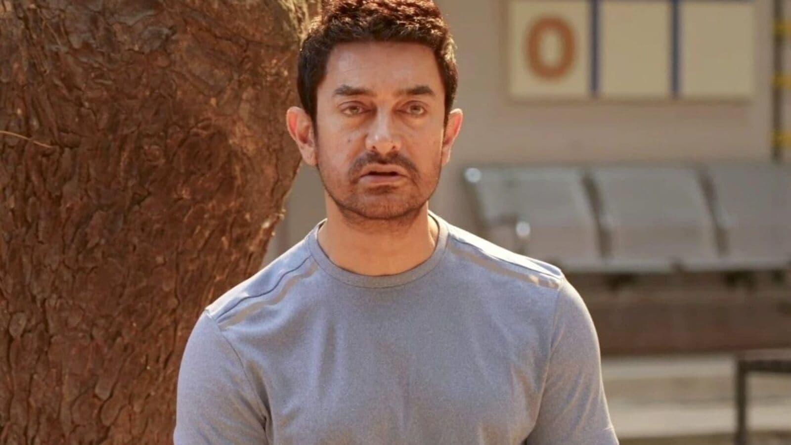 Sitaare Zameen Par Box Office Day 23: Aamir Khan's film rebounds slightly on Saturday, mints THIS amount so far