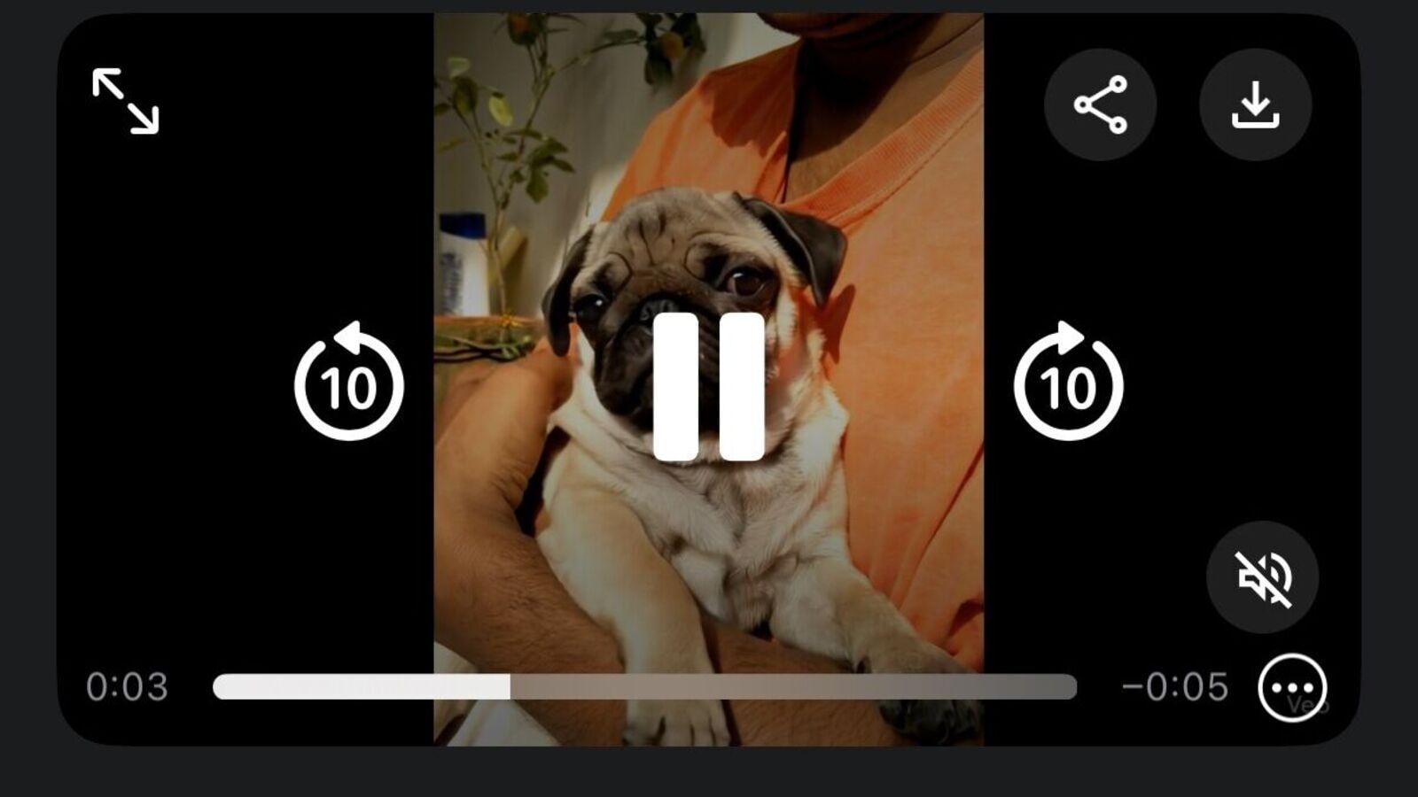 I revived my dog's puppy days using Google Gemini AI – Here's how it went