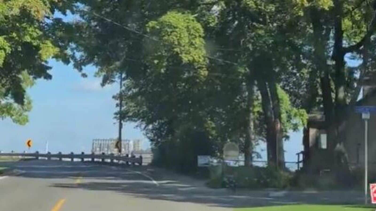 Internet left in awe of ‘Shrinking Mill' optical illusion found in Canada