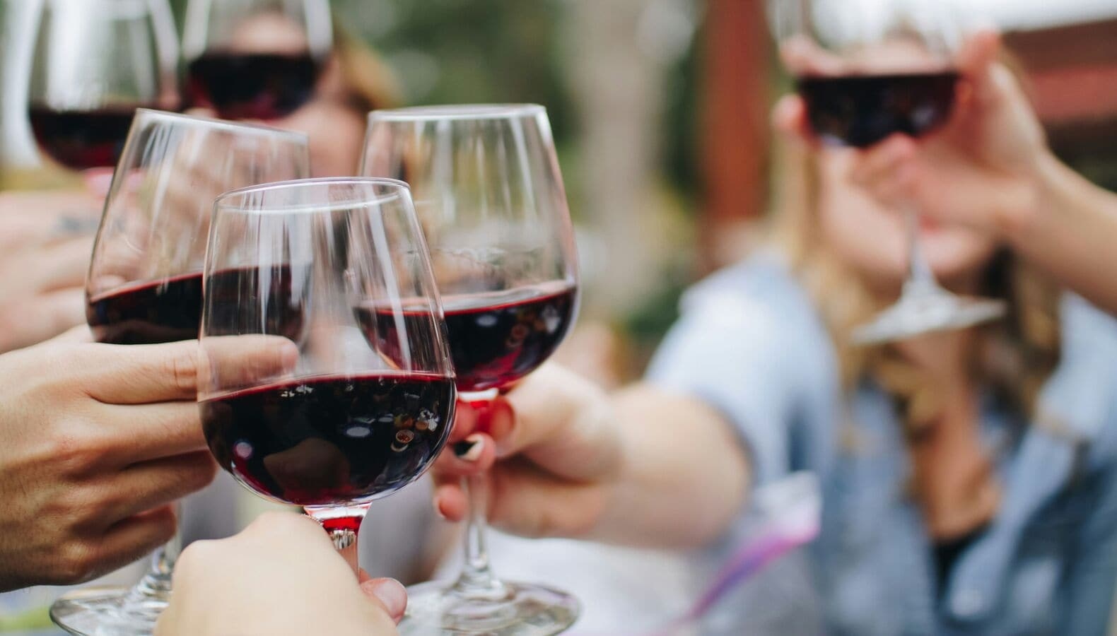 Everything you ever wanted to know about Chilean wines