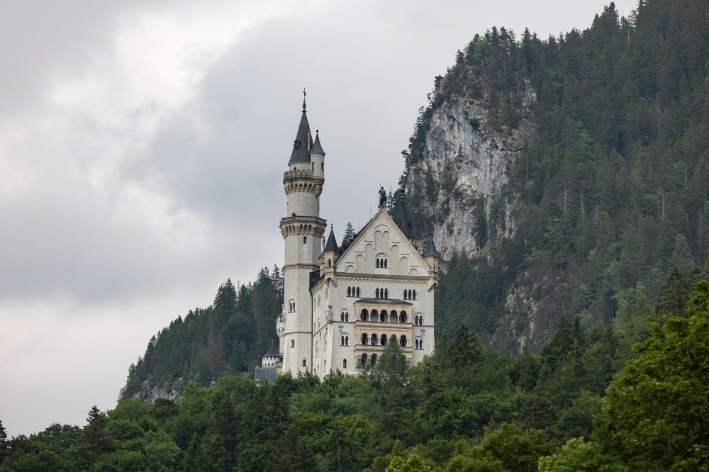 Hot dog survives locker ordeal at Germany's Neuschwanstein Castle
