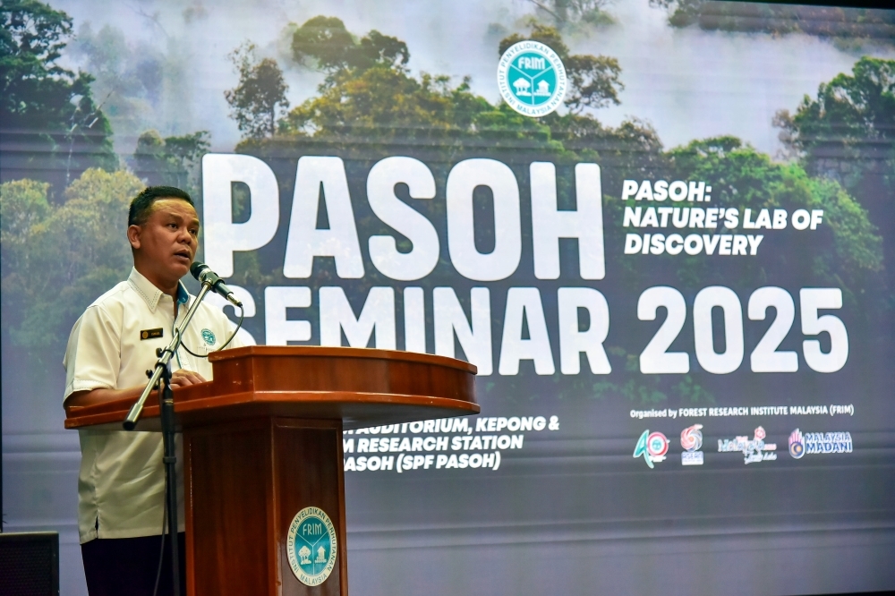 New tree species discovered in Pasoh Forest Reserve, says FRIM