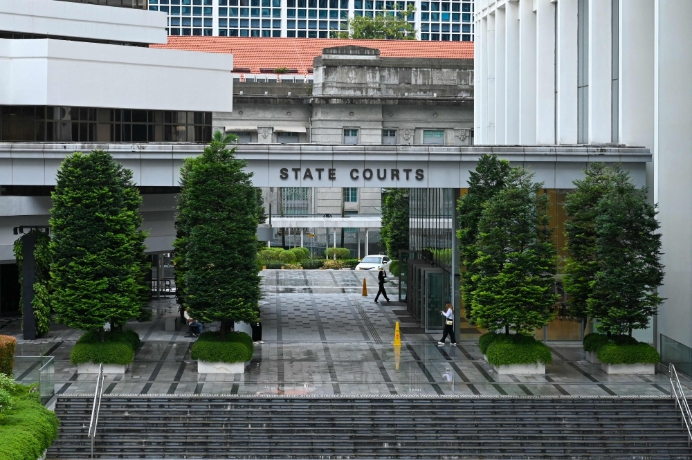 Singapore man gets probation for lewd act on neighbour's cat, must undergo sexual behaviour intervention