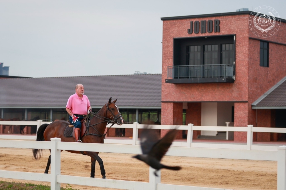 Fit for a King: Sultan Ibrahim's dawn horse ride highlights active lifestyle