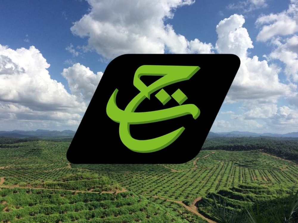 TH Plantations CEO put on garden leave, CFO resigns as allegations of RM5m payouts emerge