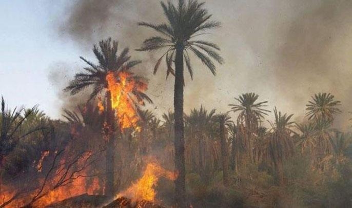 إقليم اشتوكة أيت باها .. حريق بواحة 'تاركانتوشكا' يتسبب في إتلاف أزيد من 6 هكتارات من النخيل