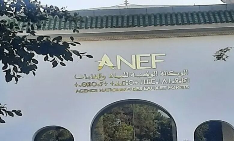 المغرب يعزز ريادته البيئية خلال مشاركته بأشغال الدورة ال15 لمؤتمر الأطراف في اتفاقية 'رامسار'