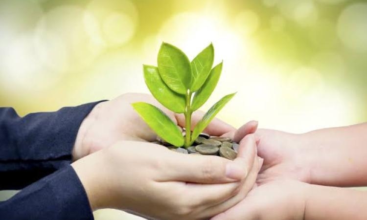 هل يجوز التبرع للمستشفيات والمؤسسات الحكومية من زكاة المال؟