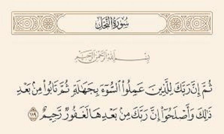 الإصلاح .. مقصد إسلامي أصيل