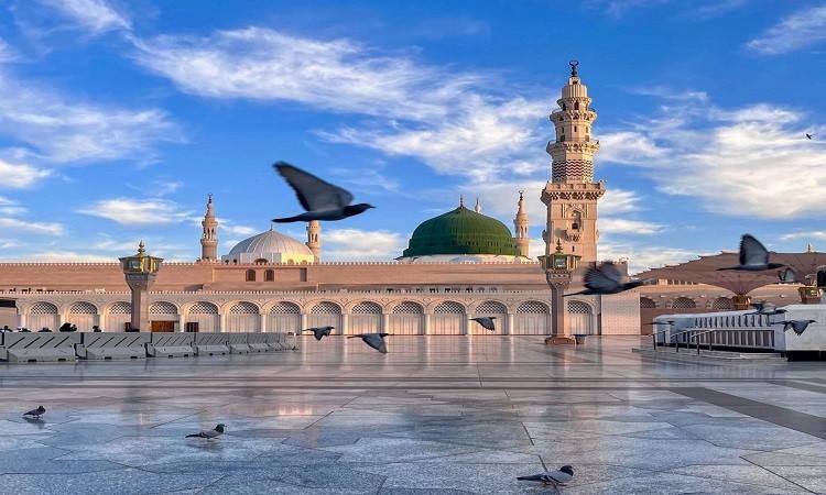 الجنة ..دار النعيم المقيم