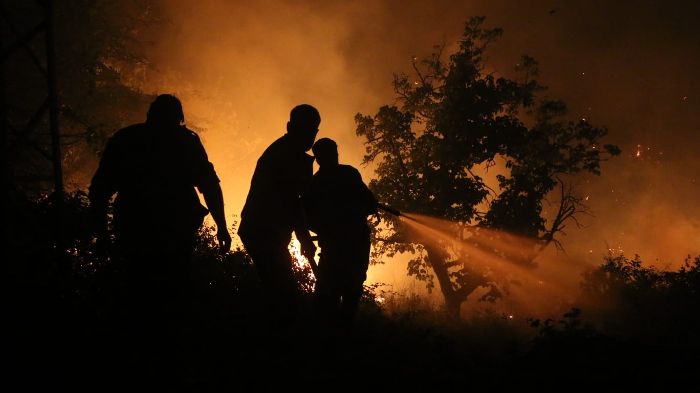 Syria: Wildfires ravage Latakia province for fourth consecutive day