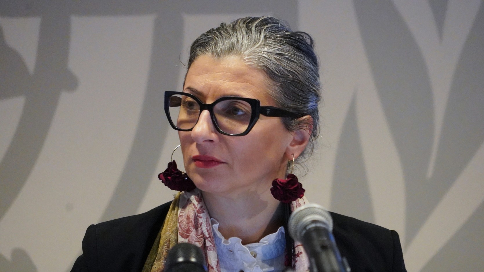 Francesca Albanese sanctions ‘create chilling effect' on UN experts, warn rapporteurs