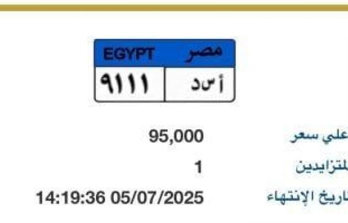 "أسد - 9111" أرخص لوحة سيارة مميزة مطروحة بالمزاد.. اعرف سعرها