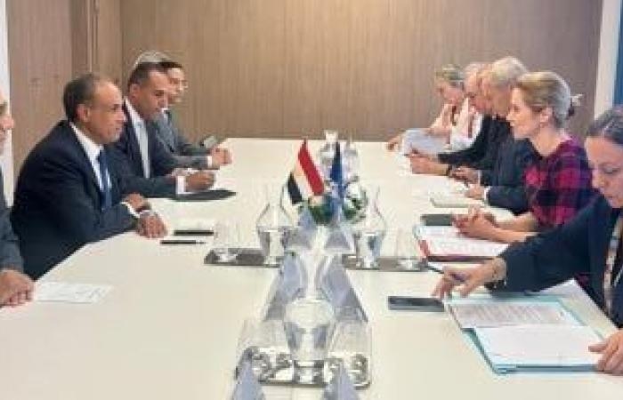 وزير الخارجية يستعرض جهود مصر للتوصل لوقف إطلاق نار في غزة
