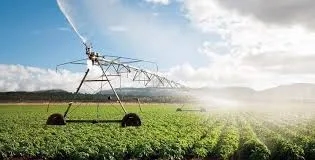 Morocco, Chinese Firm Launch MAD 220 Million Smart Farming Project