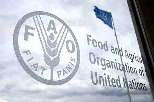 Morocco Wins Second Term on UN Food Agency Council