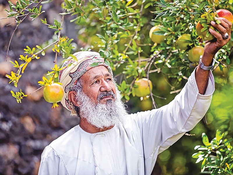 Jabal Akhdar Festival 2025 from July 15