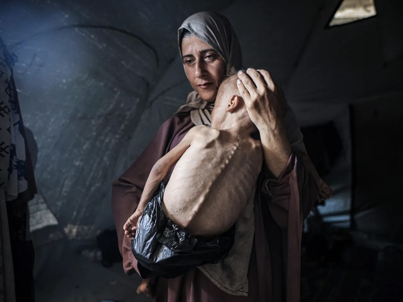 'Mass starvation' in Gaza: Aid agencies