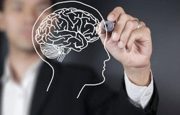 أخبار مصر : ما سر الضوء الخافت المُشع من العقل البشري أثناء التفكير؟