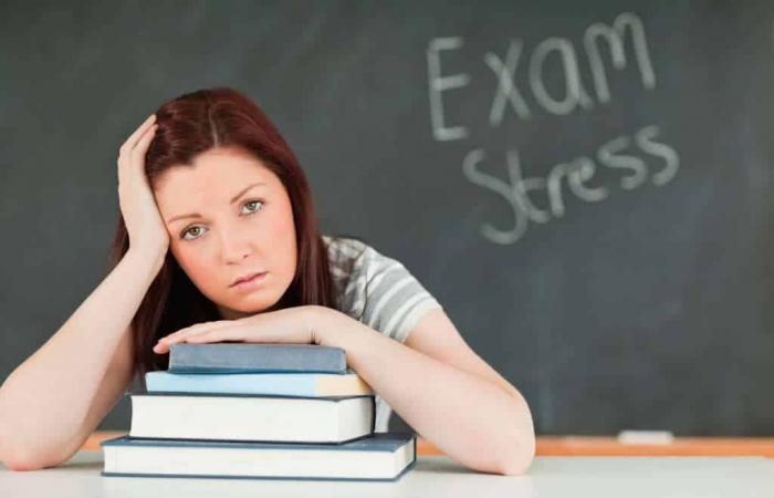 أخبار مصر : لطلاب الثانوية العامة.. أغذية تقلل التوتر النفسي وأخرى تُفاقمه