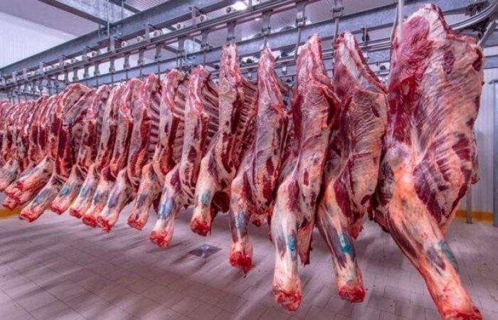 البتلو بكام النهاردة؟.. أسعار اللحوم اليوم الثلاثاء 1 يوليو 2025