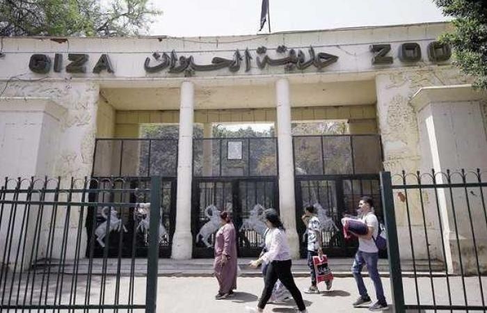 أخبار مصر : حديقة الحيوان في ثوبها الجديد.. الكشف عن الموعد النهائي لافتتاحها