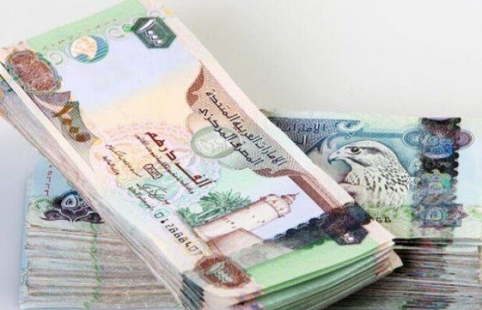 سعر الدرهم الإماراتي مقابل الجنيه المصري اليوم الإثنين 7 يوليو 2025
