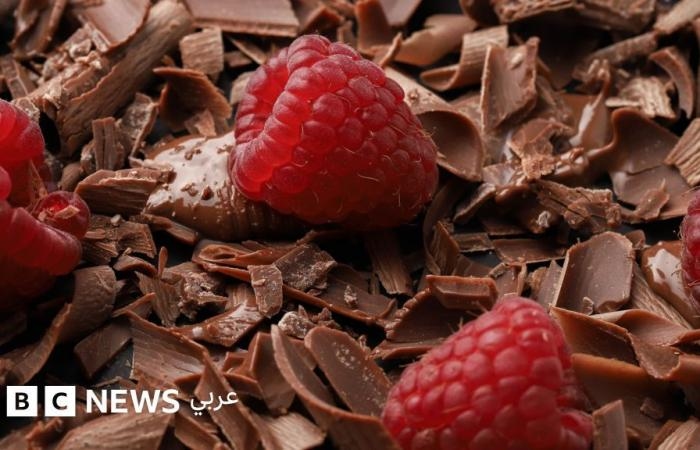 أخبار العالم : الشوكولاتة: من "طعام إلهي" إلى "مال ينمو على الأشجار"