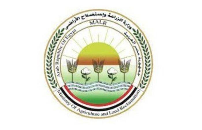 «الزراعة» تكثف جهود الرعاية التناسلية والتحسين الوراثي للماشية خلال يونيو