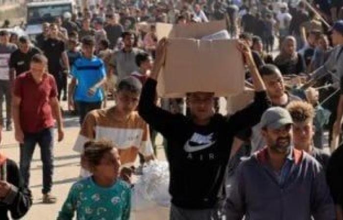 أخبار عربية : وزارة الصحة بغزة: ارتفاع مقلق في حالات الإصابة بالحمى الشوكية