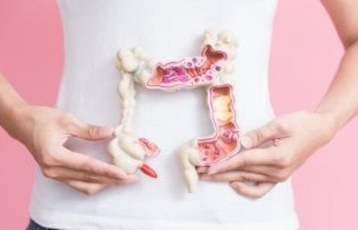 صحة وطب : 8 أطعمة تقلل خطر الإصابة بسرطان القولون