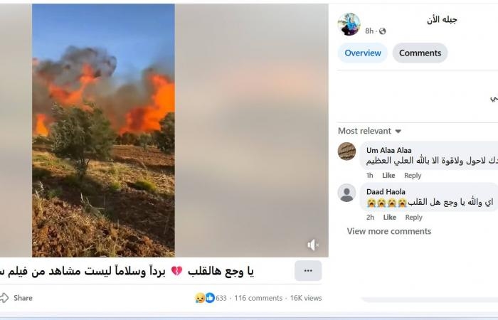 أخبار العالم : مشاهد متداولة بزعم أنها لحرائق اللاذقية في سوريا.. هذه حقيقتها