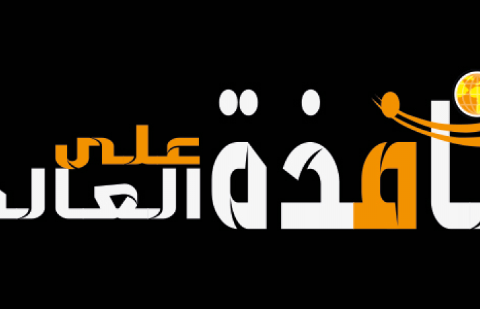 أخبار العالم : أسعار الدولار الآن في بنوك مصر.. تحديث مباشر لسعر الدولار