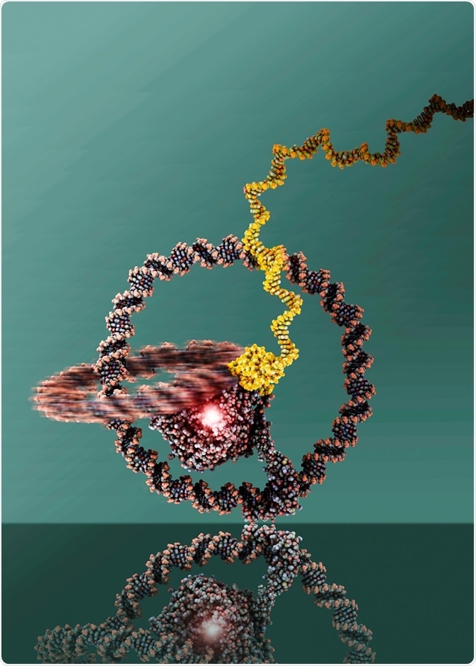 DNA‑Crafted Nanomachines Self‑Assemble in Water