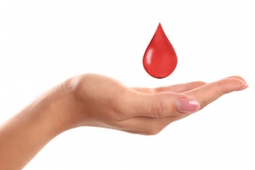 Donors Go Digital