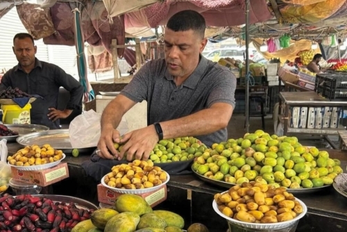 As Summer Begins, Bahraini Almonds Make Their Seasonal Comeback