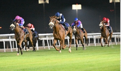 Rashid Equestrian Club to Host Eid Al Fitr Festival with Exciting Races