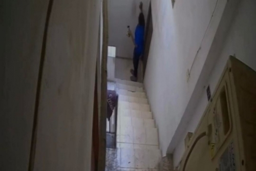 Child Placed Under Judicial Supervision After Animal Abuse Incident in Muharraq
