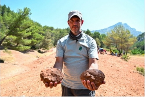 Eggs en Provence: France's unique dinosaur egg trove