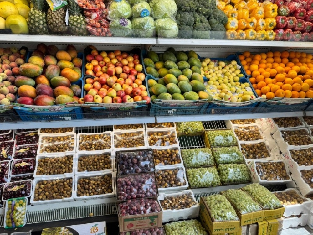بساتين الطائف.. تمطر الأسواق والسياح بالتين وشتلات الترنج