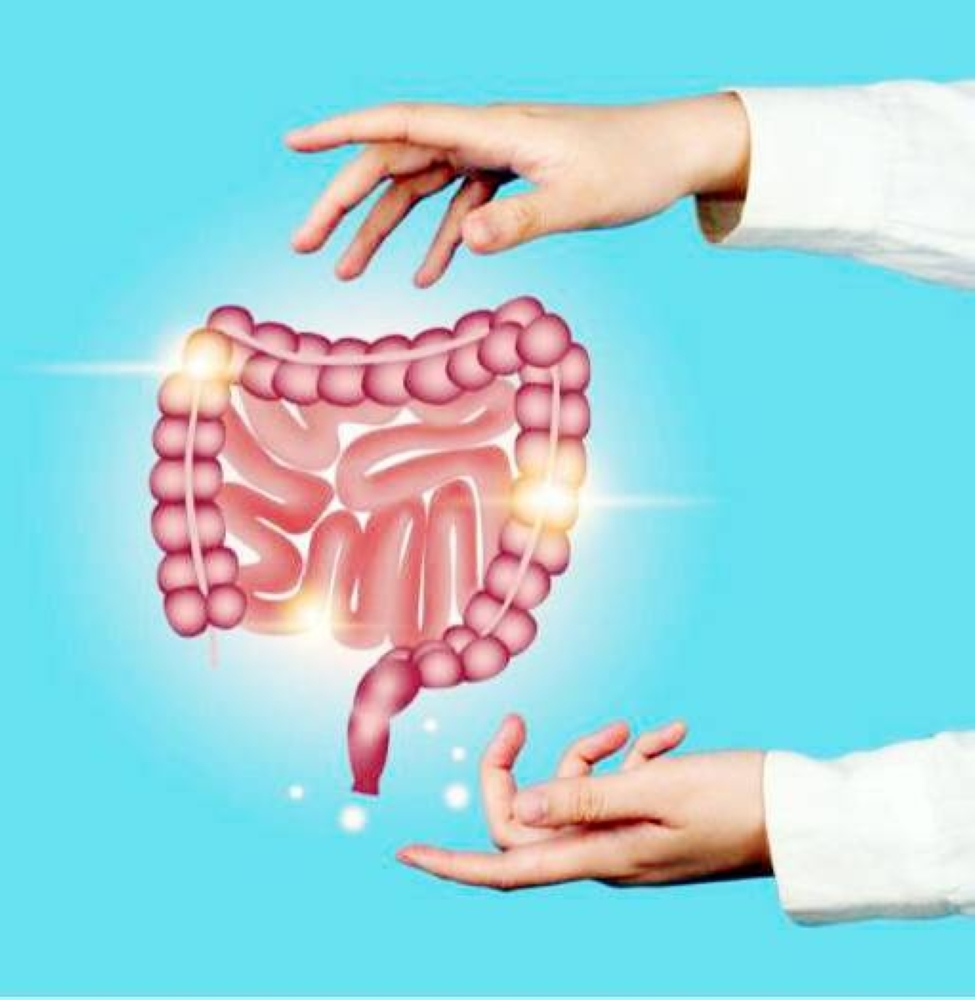 الأمعاء.. مرآة للصحة النفسية
